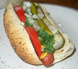 Chicago Style Hot Dog