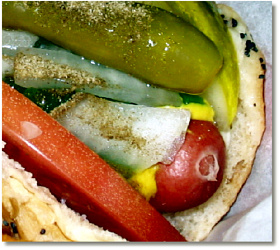 The ChicagoDog - The Search for the Perfect Dog